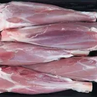 ماهیچه ممتاز گوسفندی 