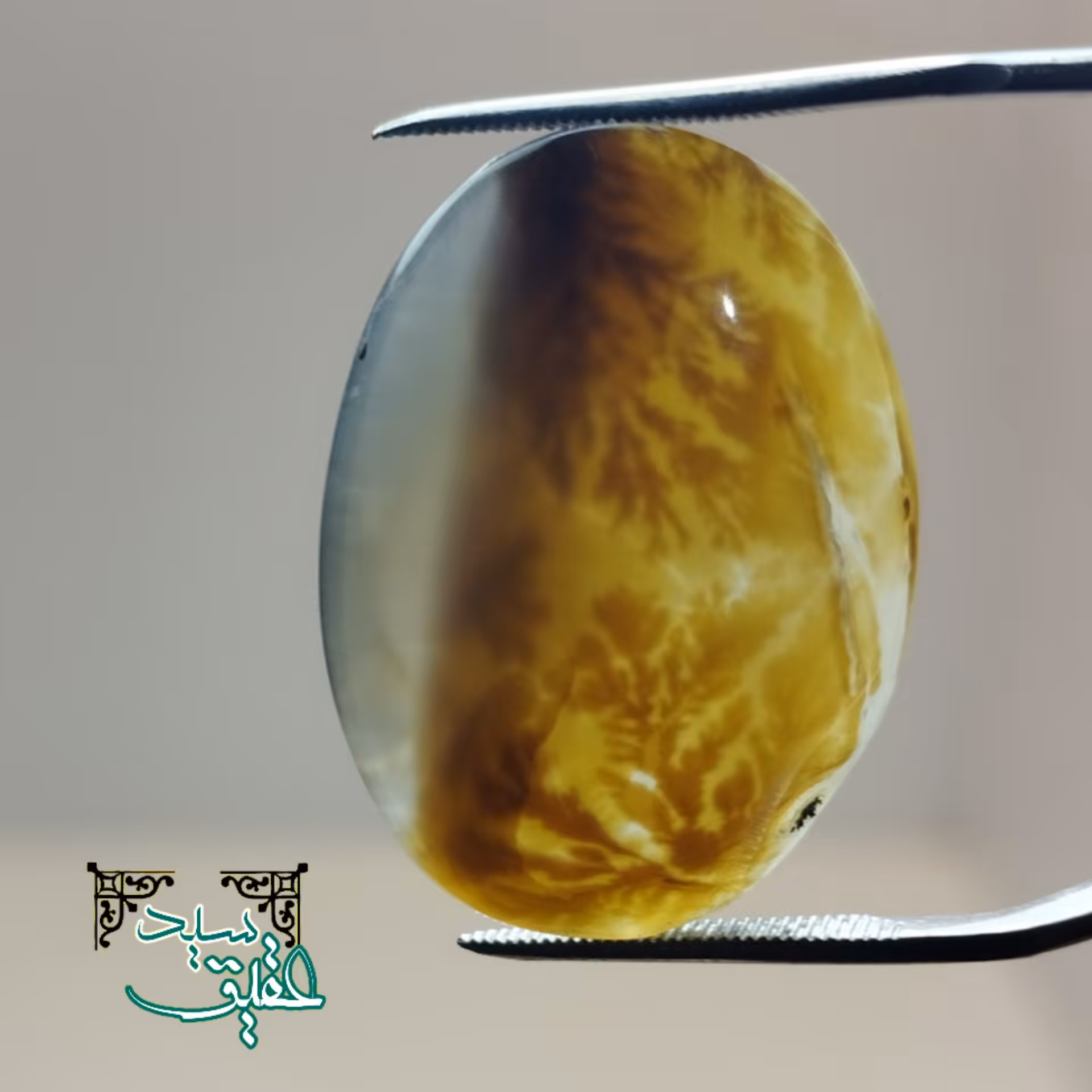 نگین عقیق شجر پاییزی دو رنگ