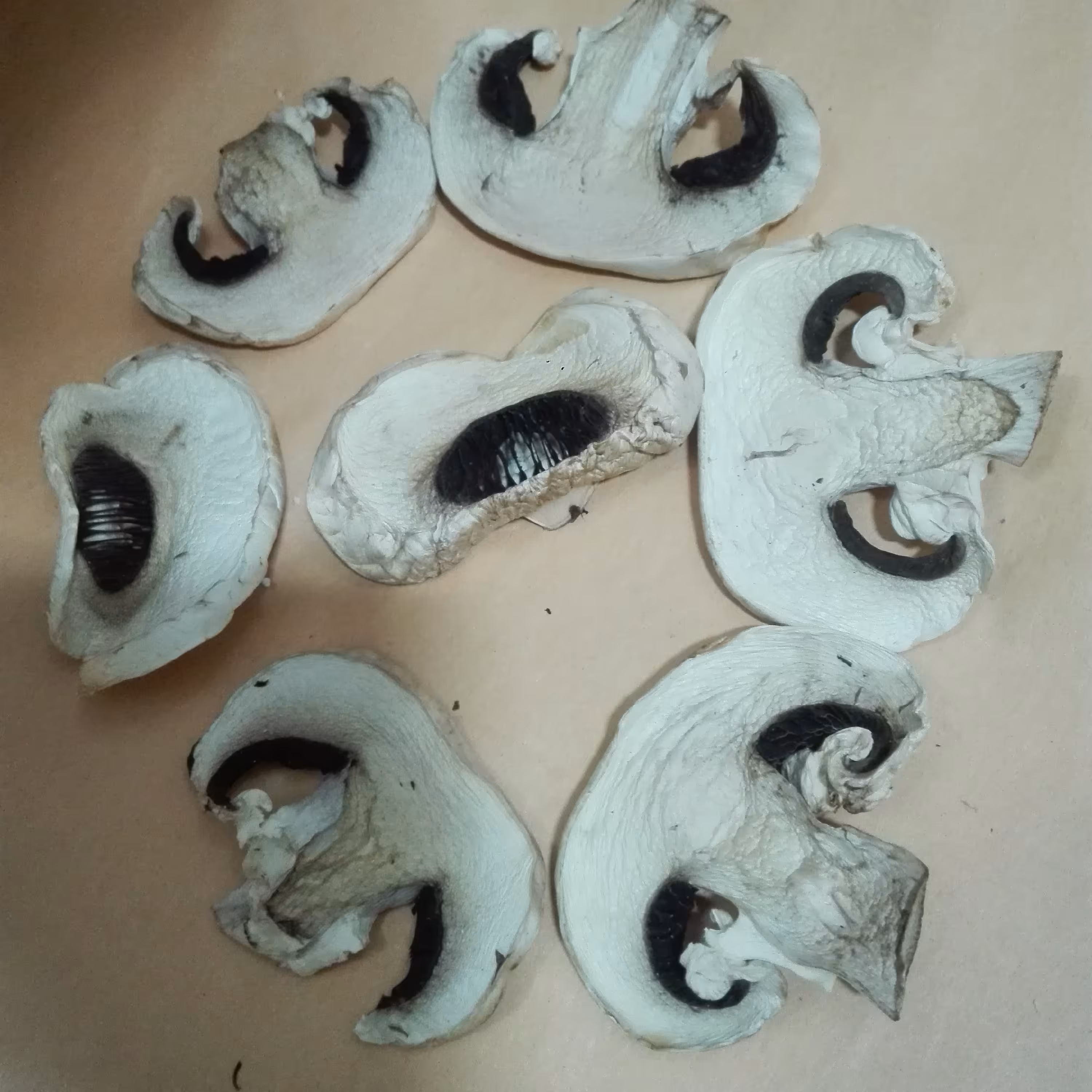 اسلایس قارچ دکمه‌ای خشک شده 