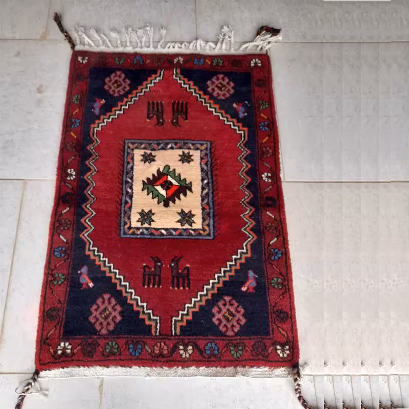 فرش دستباف قالی کلاردشت طرح صندوقی کد Far03