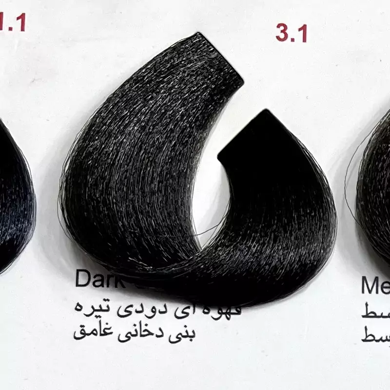 رنگ قهوه ای دودی تیره 31 ،رنگ مو کم آمونیاک پیلون و یک عدد اکسیدان | amazonchi