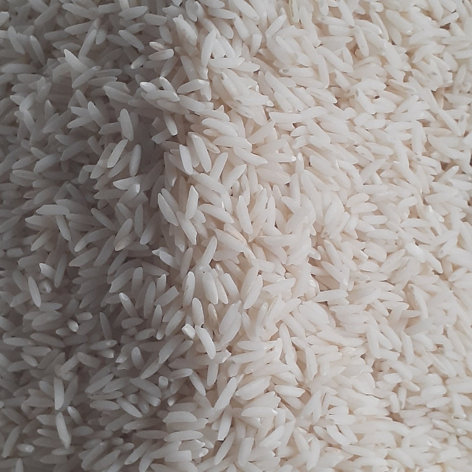 برنج هاشمی گیلان منطقه شفت (فومنات) بسیار خوشبو و دم کشی عالی مناسب مجالس مهمانی وزن 5کیلو داریم به بالا