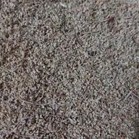 گل آویشن شیرازی   500گرم
