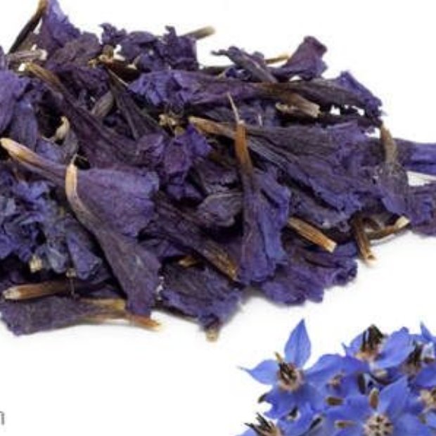 گل گاو زبان عالی