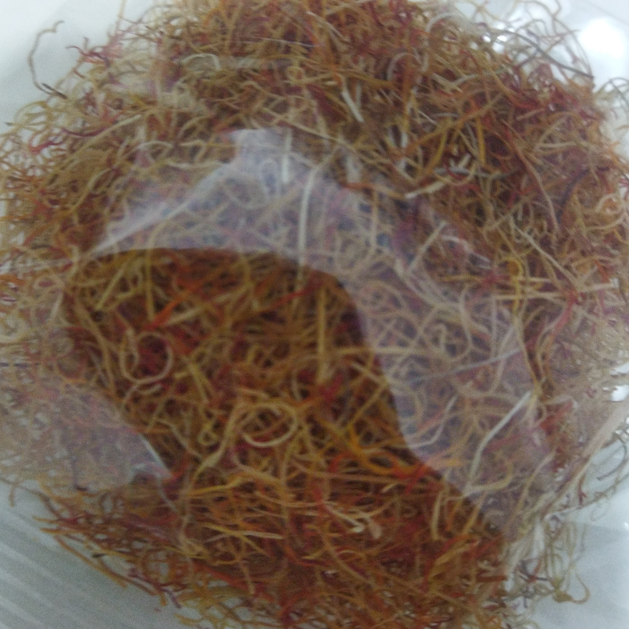 ریشه زعفران