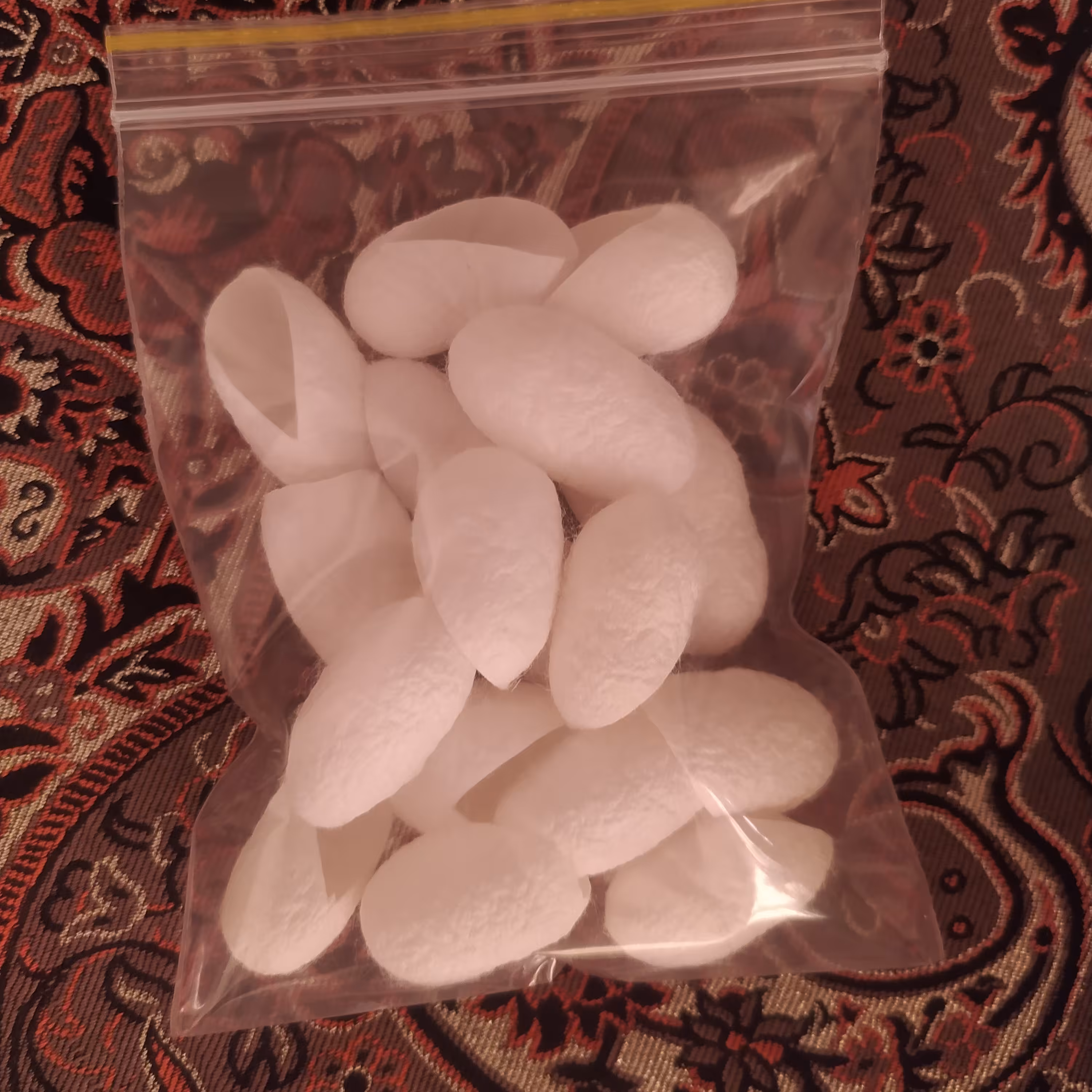 پیله ابریشم 