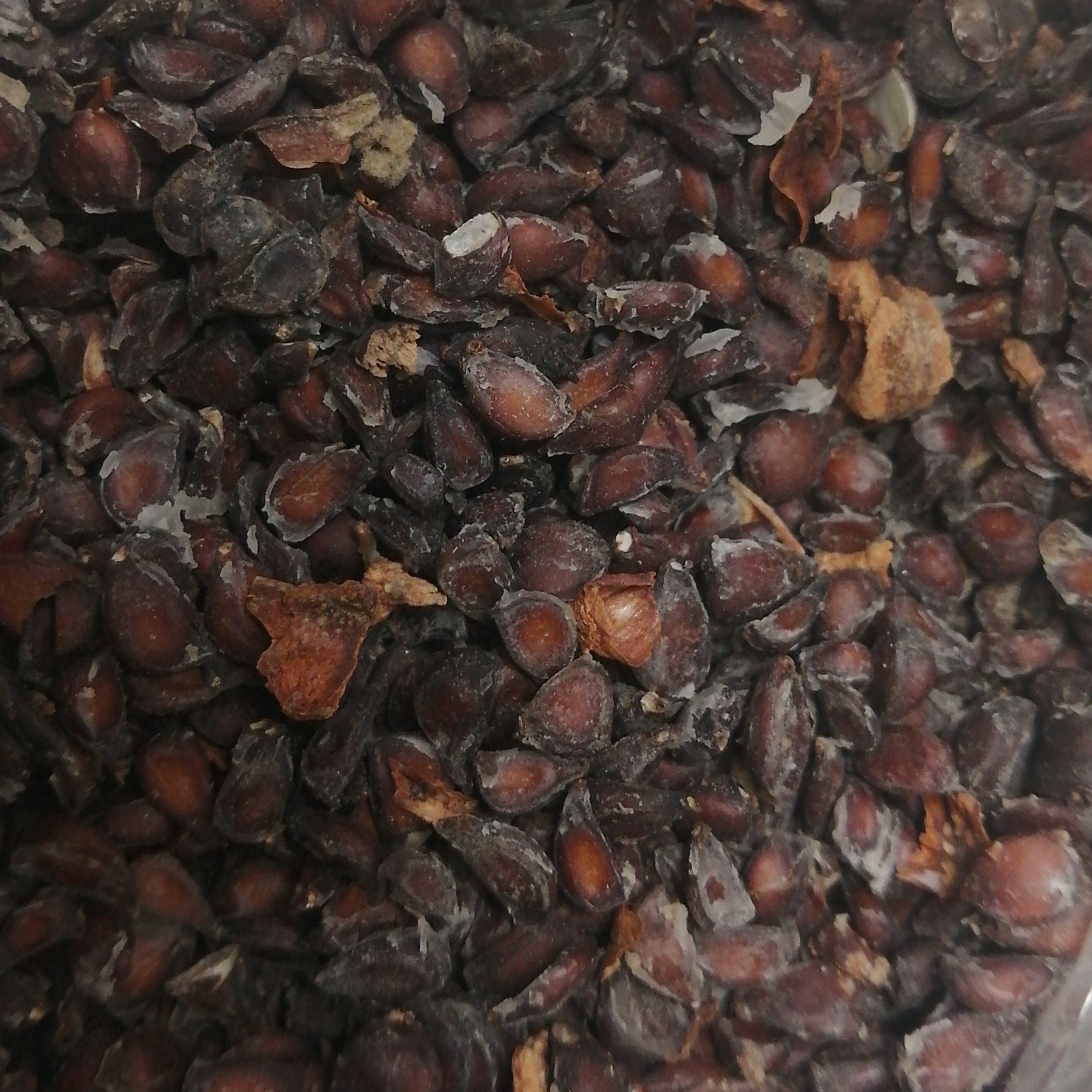 به دانه اعلا 10گرم