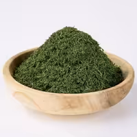 سبزی شوید خشک ممتاز فدک (100گرم)