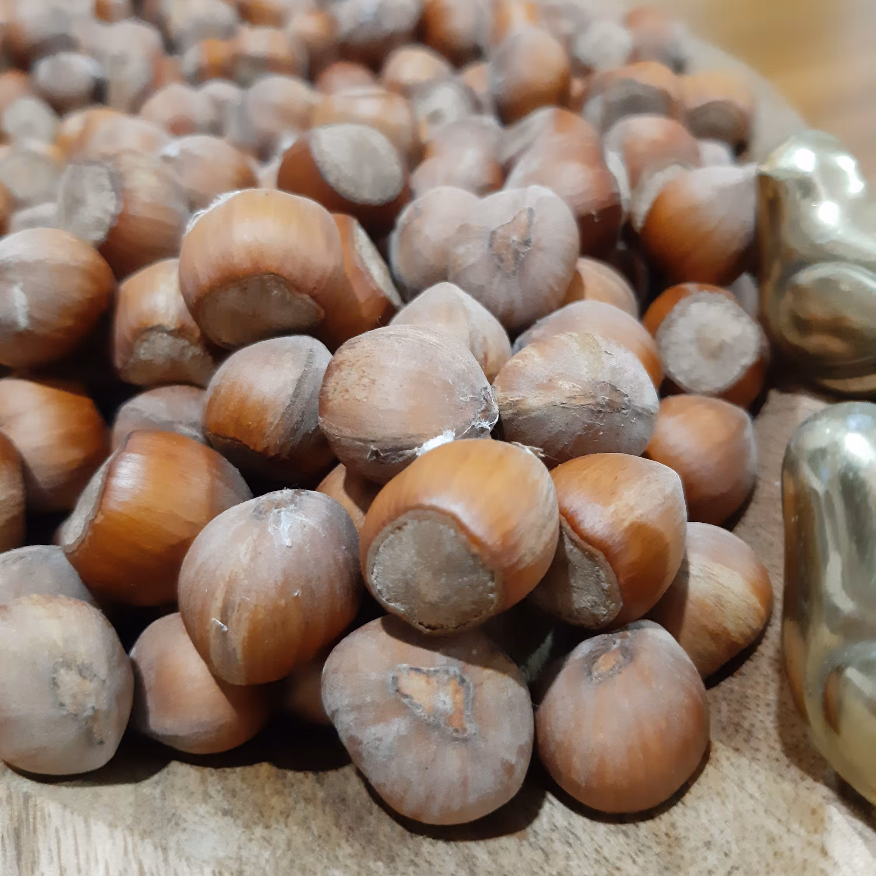 فندق درجه 1  اشکورات محصول شهریور امسال