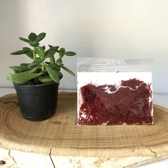 زعفران سر گل یک مثقالی (عطارباشی بیرجند)