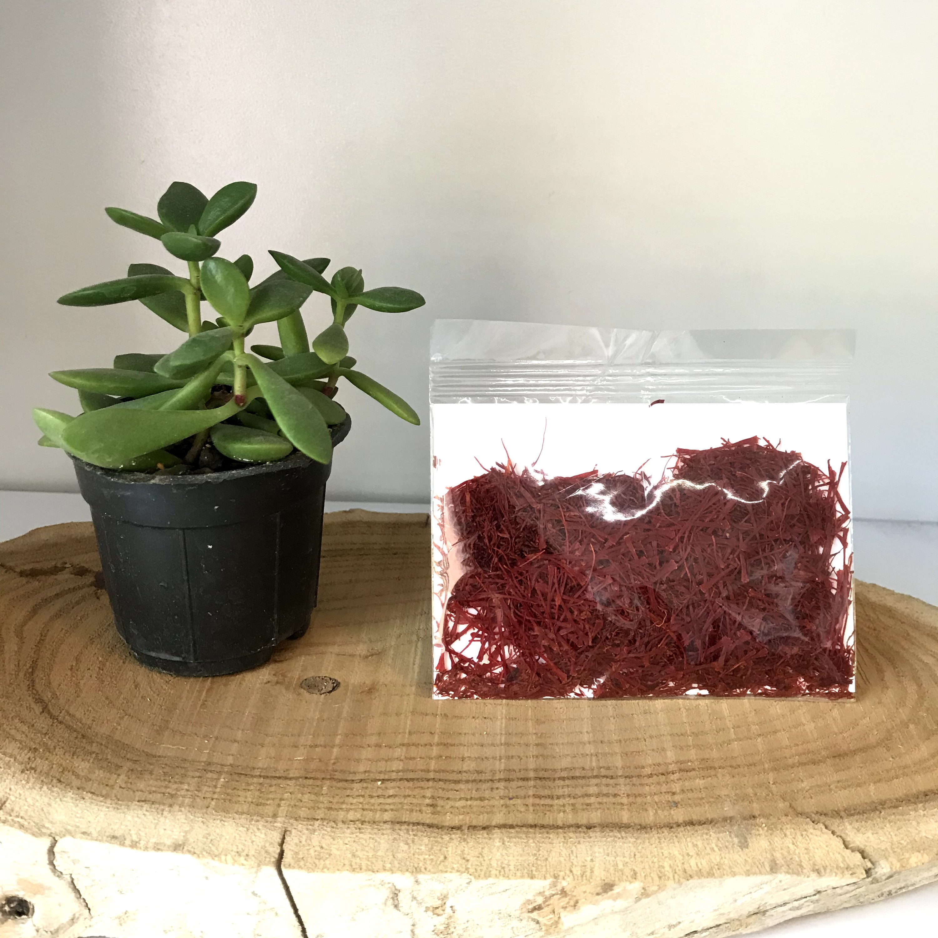 زعفران سر گل یک مثقالی (عطارباشی بیرجند)