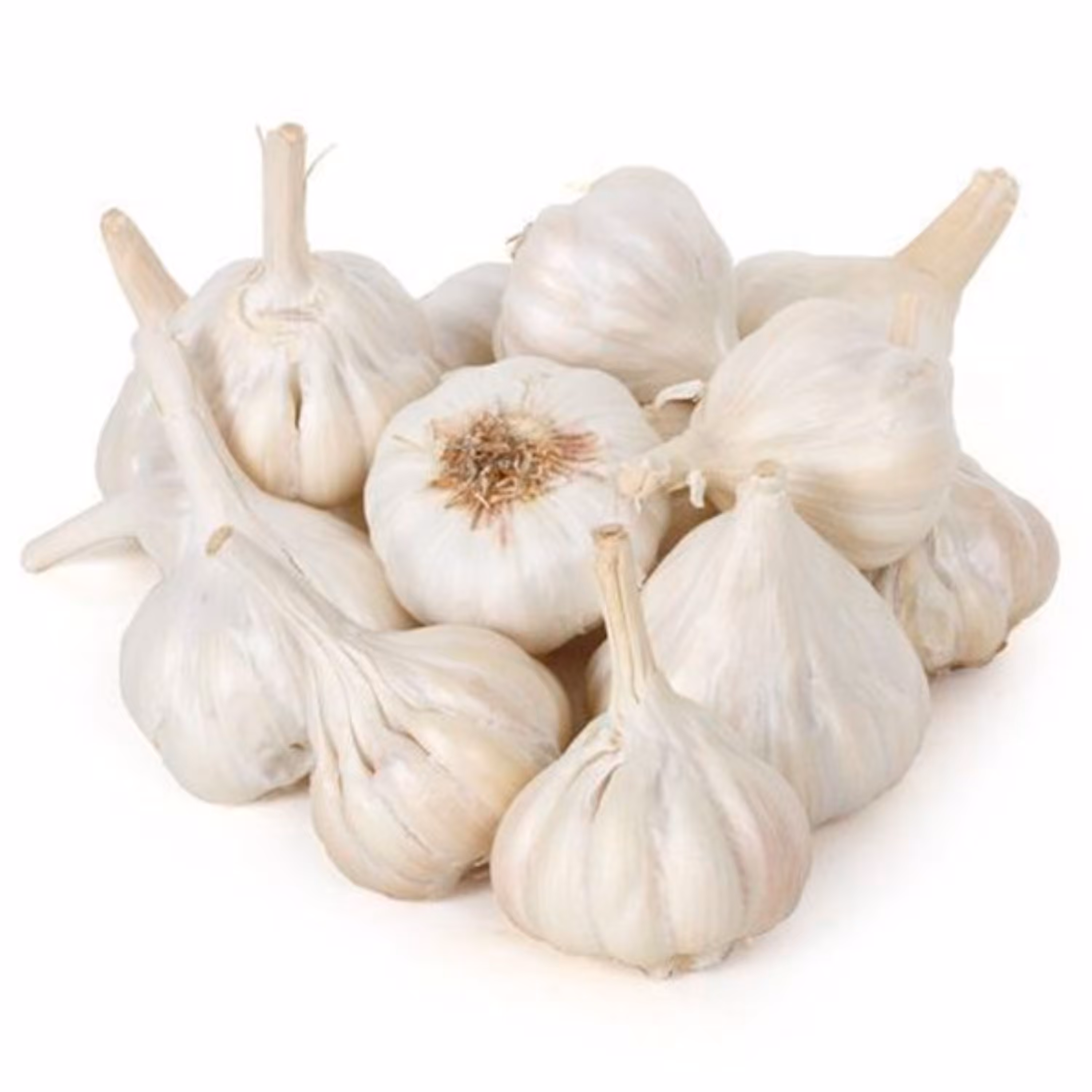 بسته 1 کیلویی سیر خشک