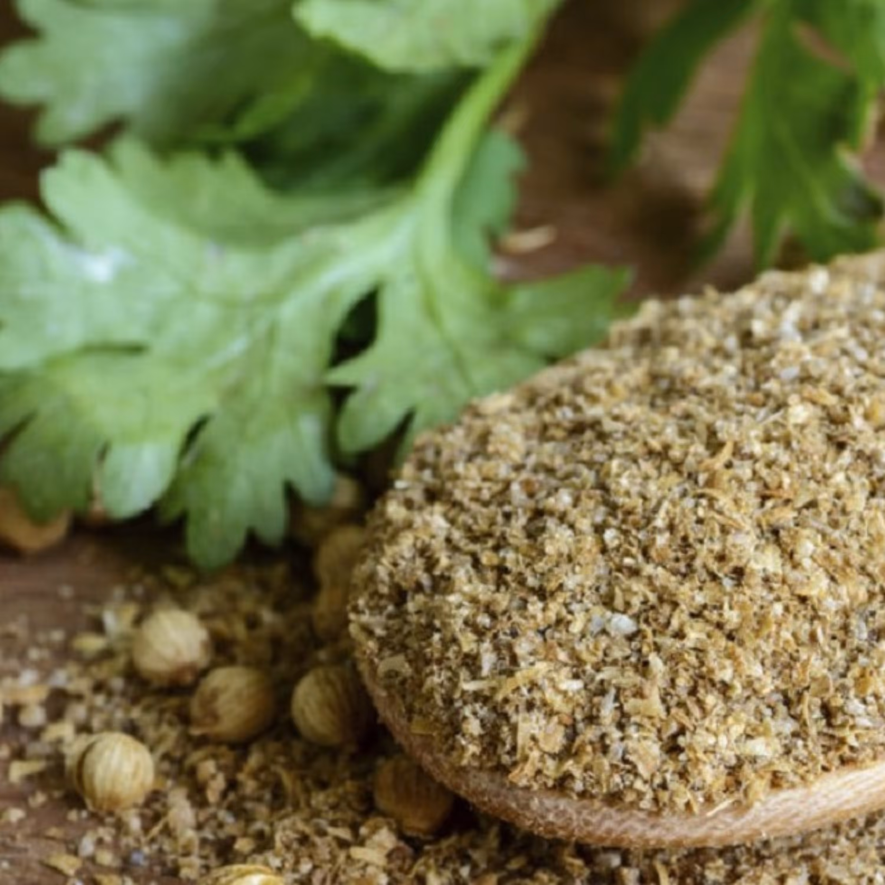 پودر تخم گشنیز  100گرمی