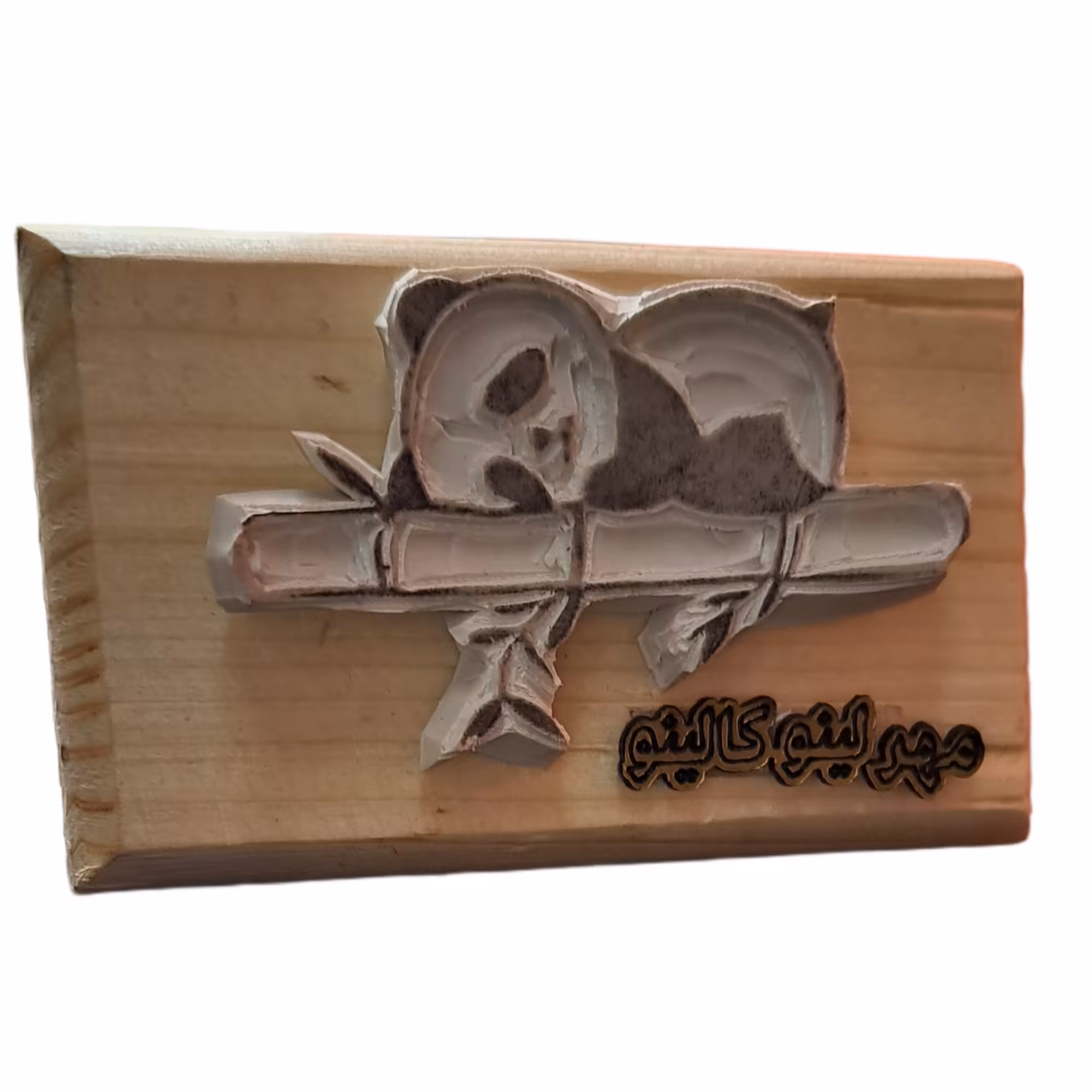 مهردستسازمدل پانداخوابیده