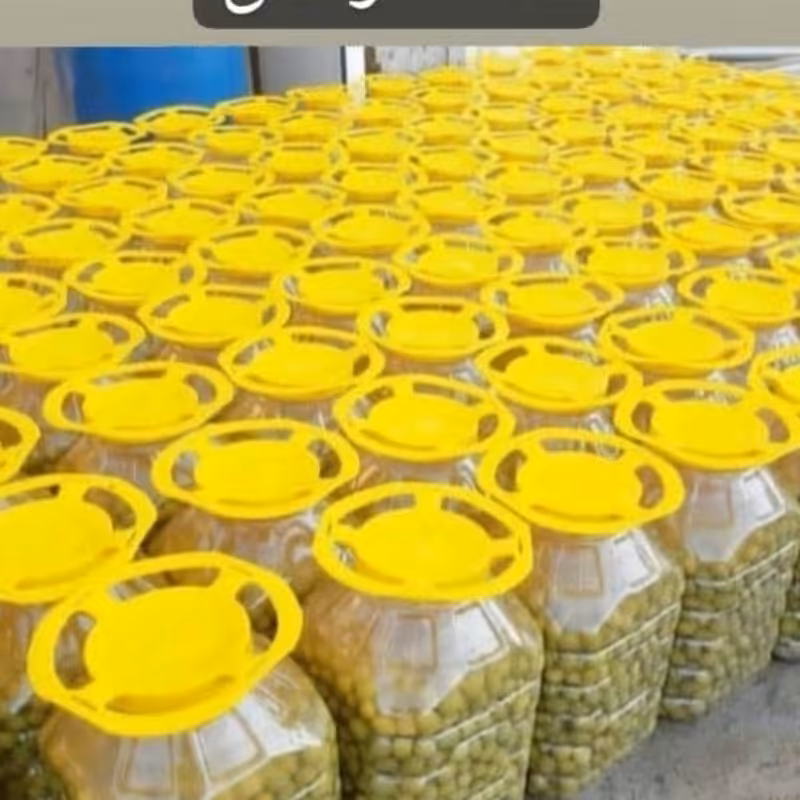  زیتون کنسروی با هسته 