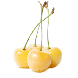 خرید نهال گیلاس سفید