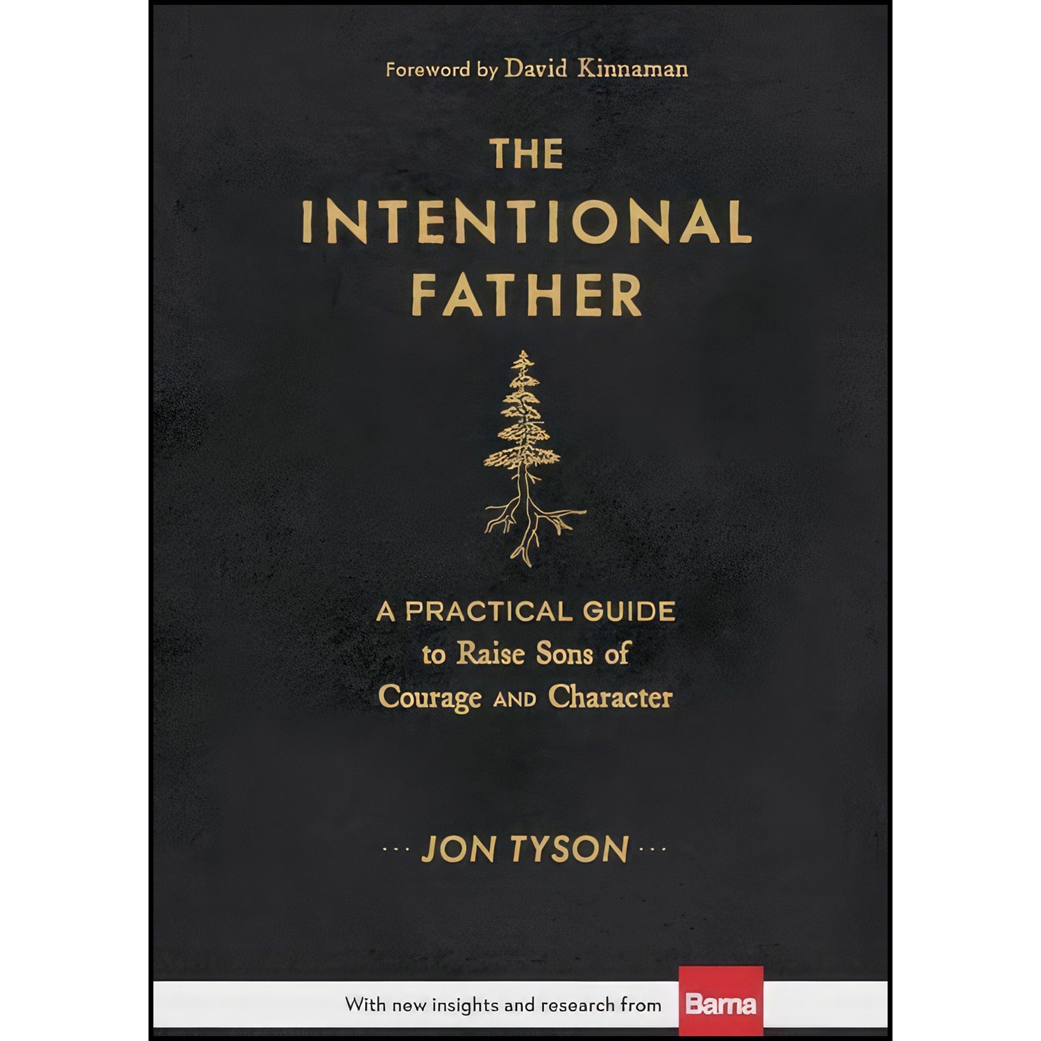 کتاب زبان اصلی The Intentional Father اثر Jon Tyson and David Kinnaman