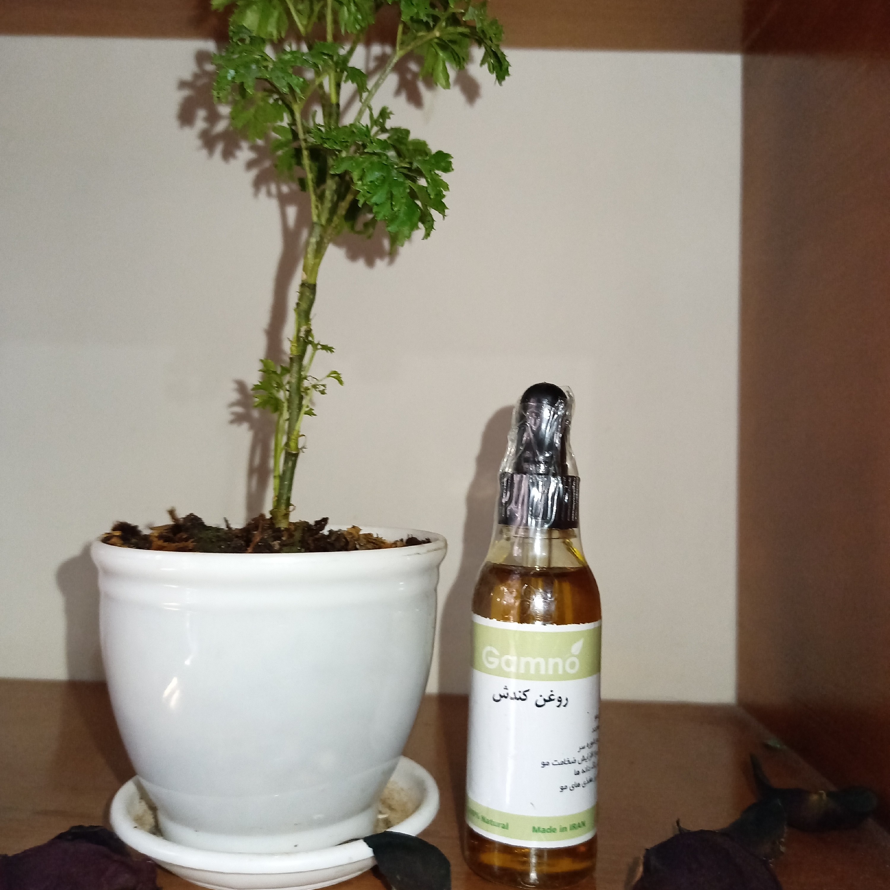 روغن کندش گامنو افزایش رشد مو