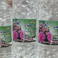 گلاب درجه یک مخصوص