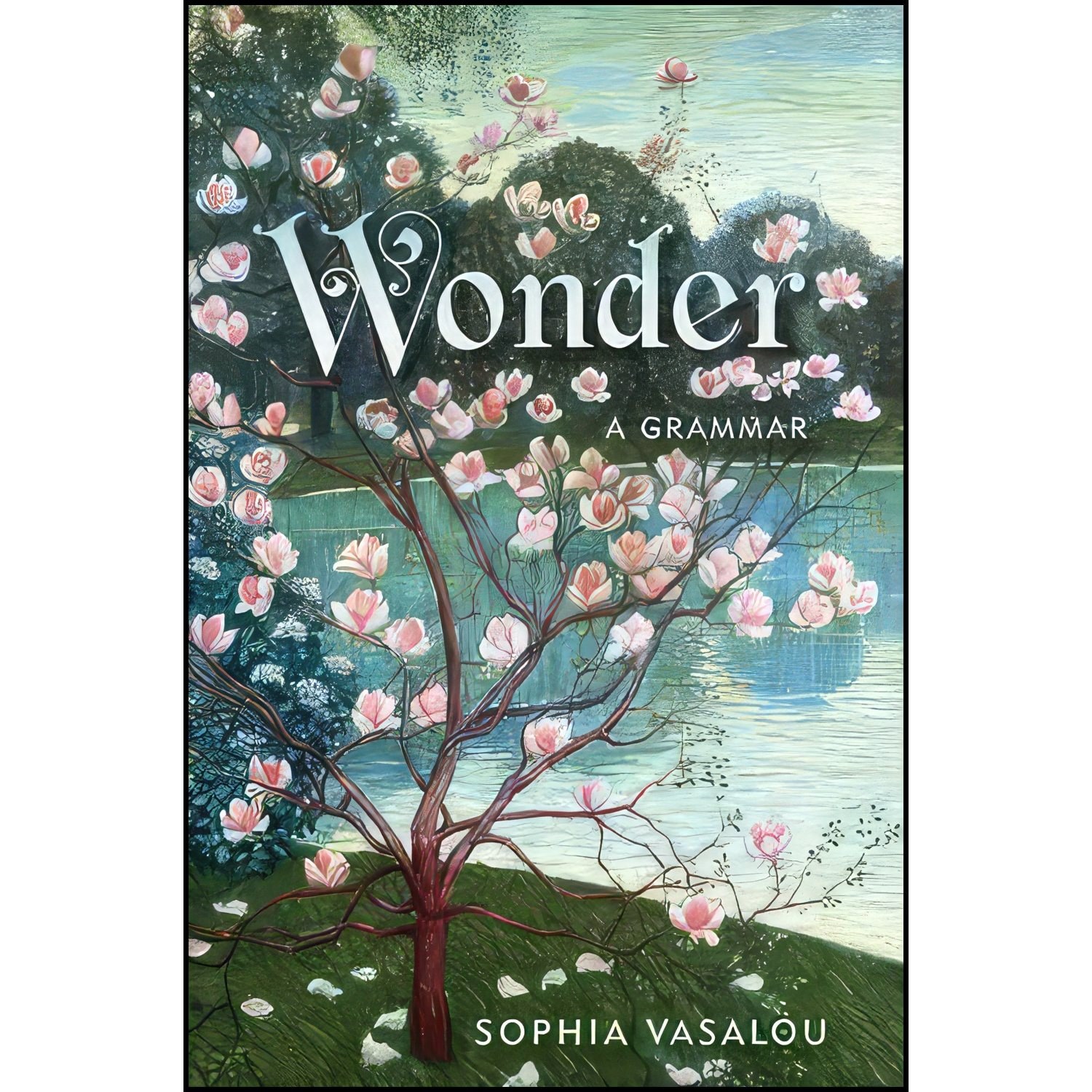 کتاب زبان اصلی Wonder اثر Sophia Vasalou