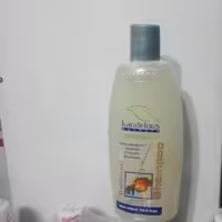 شامپوگل سرشور(گلسرشور)کندلوس