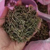 چای سبز قلم  ساچمه ای 1403 بهاره (900گرمی)