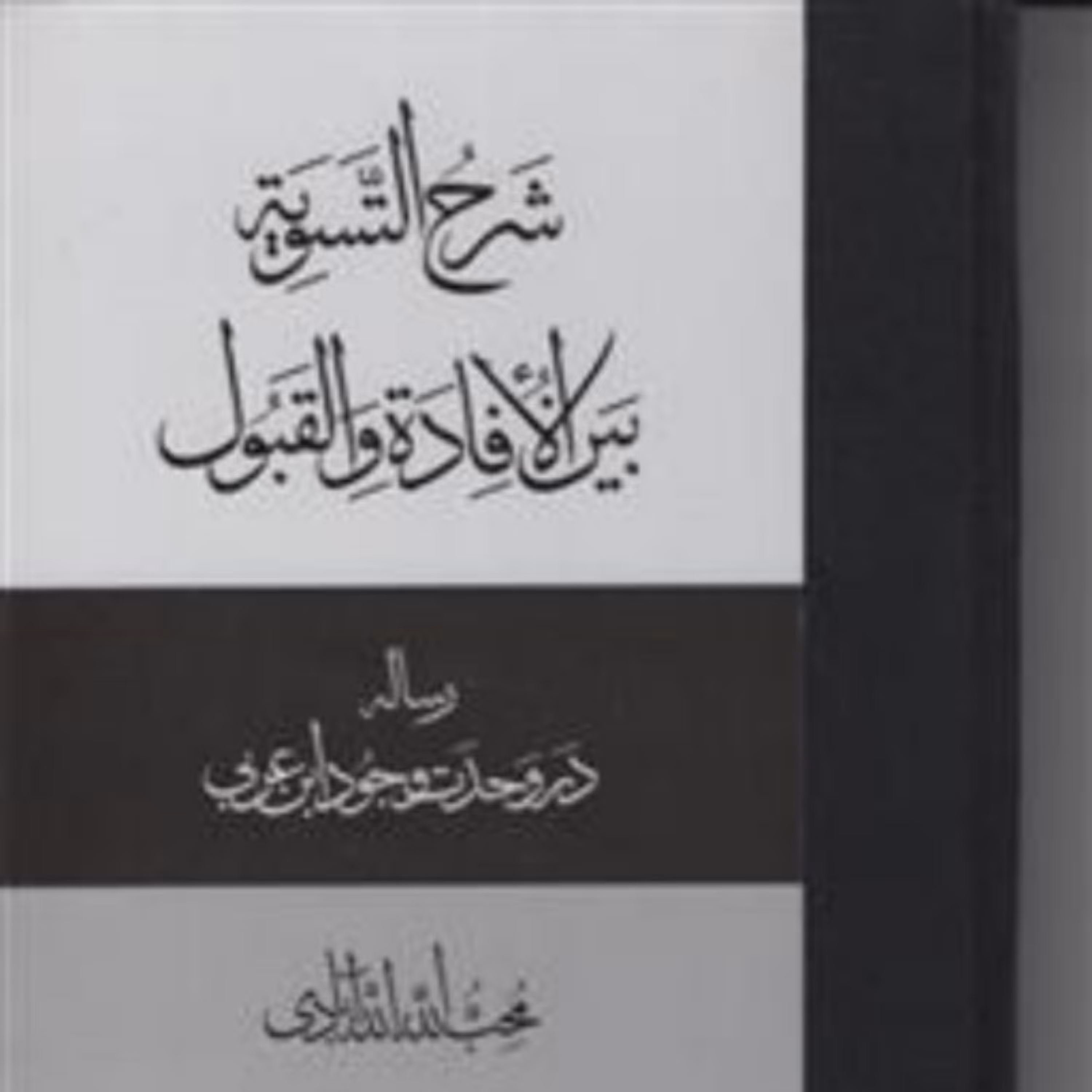 شرح التسویه بین الافاده و القبول (رساله در وحدت وجود ابن عربی) نشر مولی