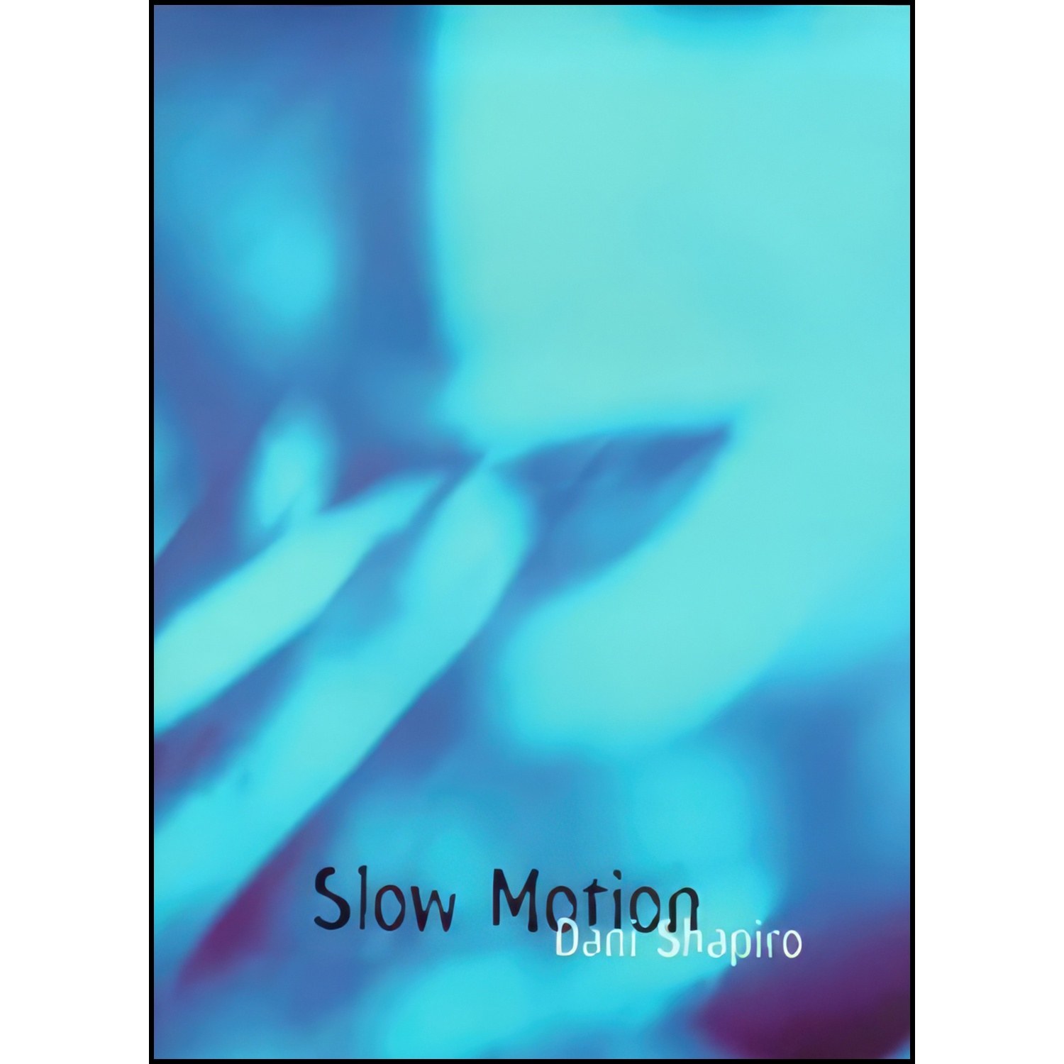 کتاب زبان اصلی Slow Motion اثر Dani Shapiro