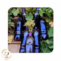 شیره انگور اعلاء ارگانیک و خالص بدون افزودنی (1 لیتری) بامزه  بینالود 