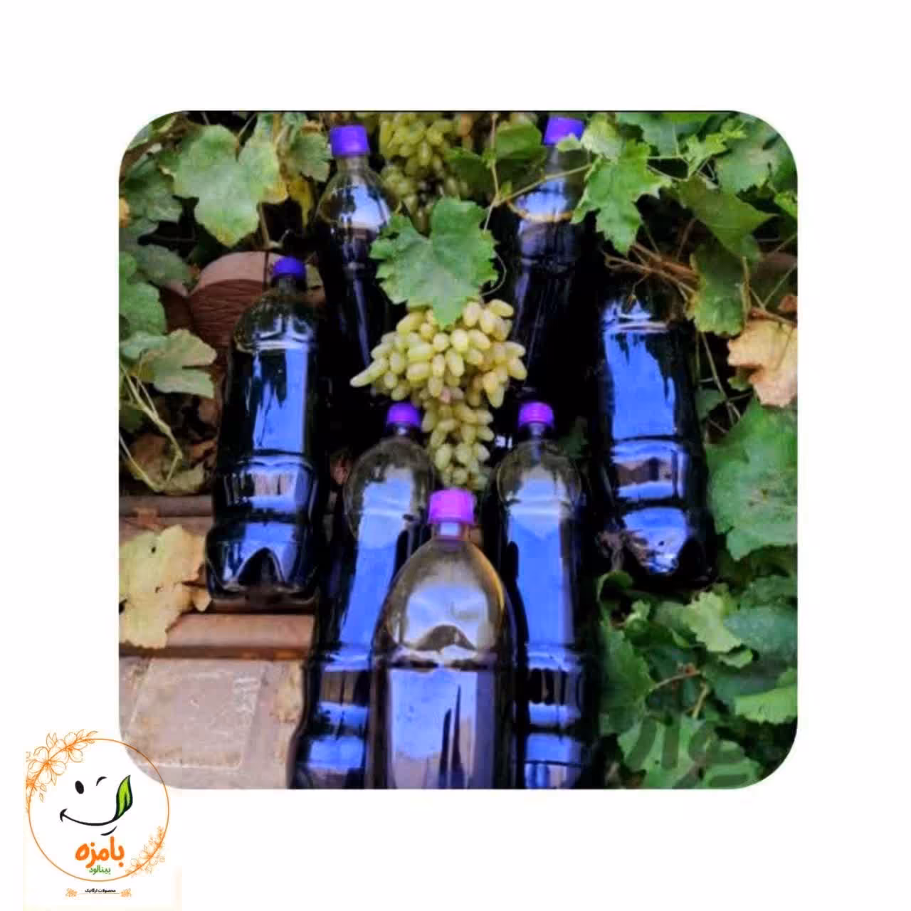 شیره انگور اعلاء ارگانیک و خالص بدون افزودنی (1 لیتری) بامزه  بینالود 