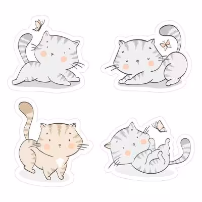 پک برچسب مات مدل پیشی