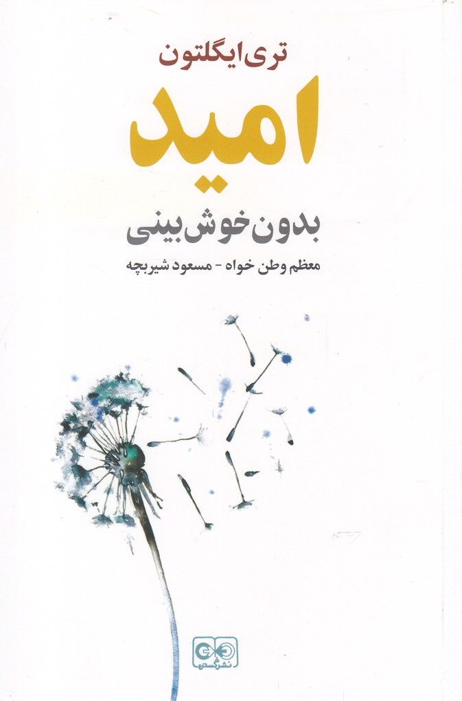 کتاب امید بدون خوشبینی
