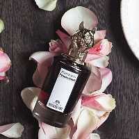 عطر ادکلن پنهالیگونز د کاوتد دوشس رز  Penhaligons The Coveted Duchess Rose
