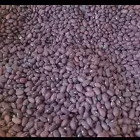 لوبیا قرمز ایرانی اعلا (یک کیلویی)