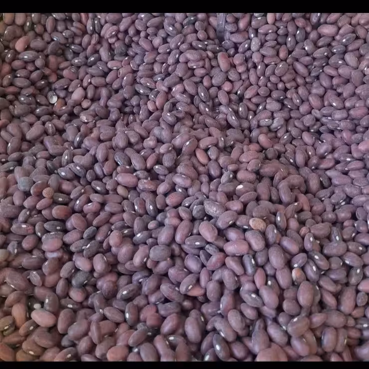 لوبیا قرمز ایرانی اعلا (یک کیلویی)