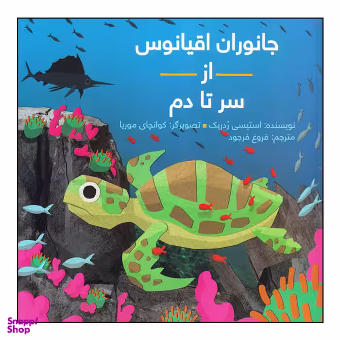 کتاب جانوران اقیانوس از سر تا دم اثر استیسی ردریک انتشارات طوطی