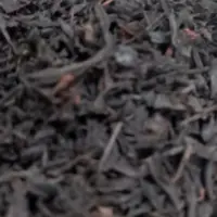 چای ایرانی گیلان 