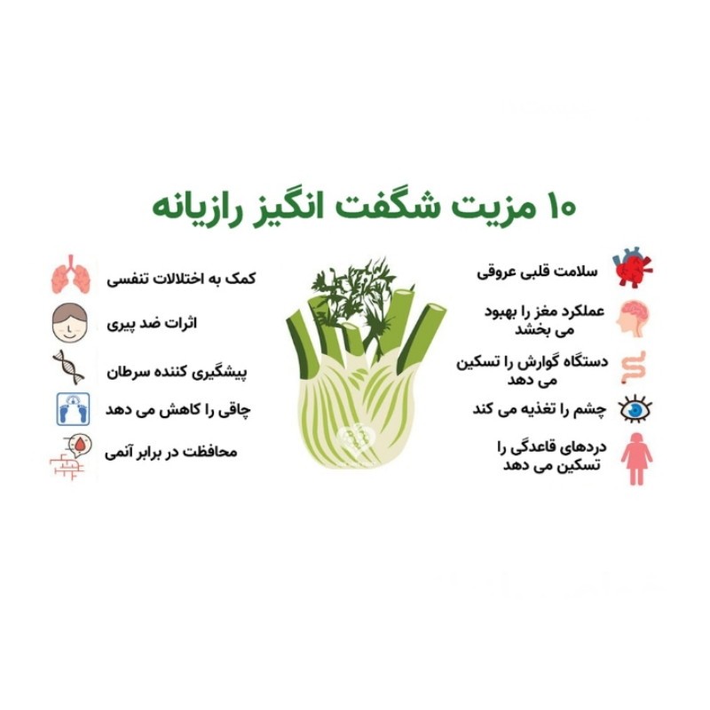 رازیانه درجه یک بسته 100 گرمی