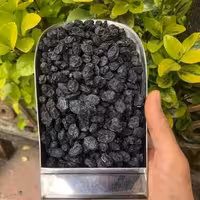 مویز هسته دار  درجه یک تمیز دارویی 500 گرمی ارسال رایگان