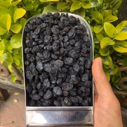 مویز هسته دار  درجه یک تمیز دارویی 500 گرمی ارسال رایگان