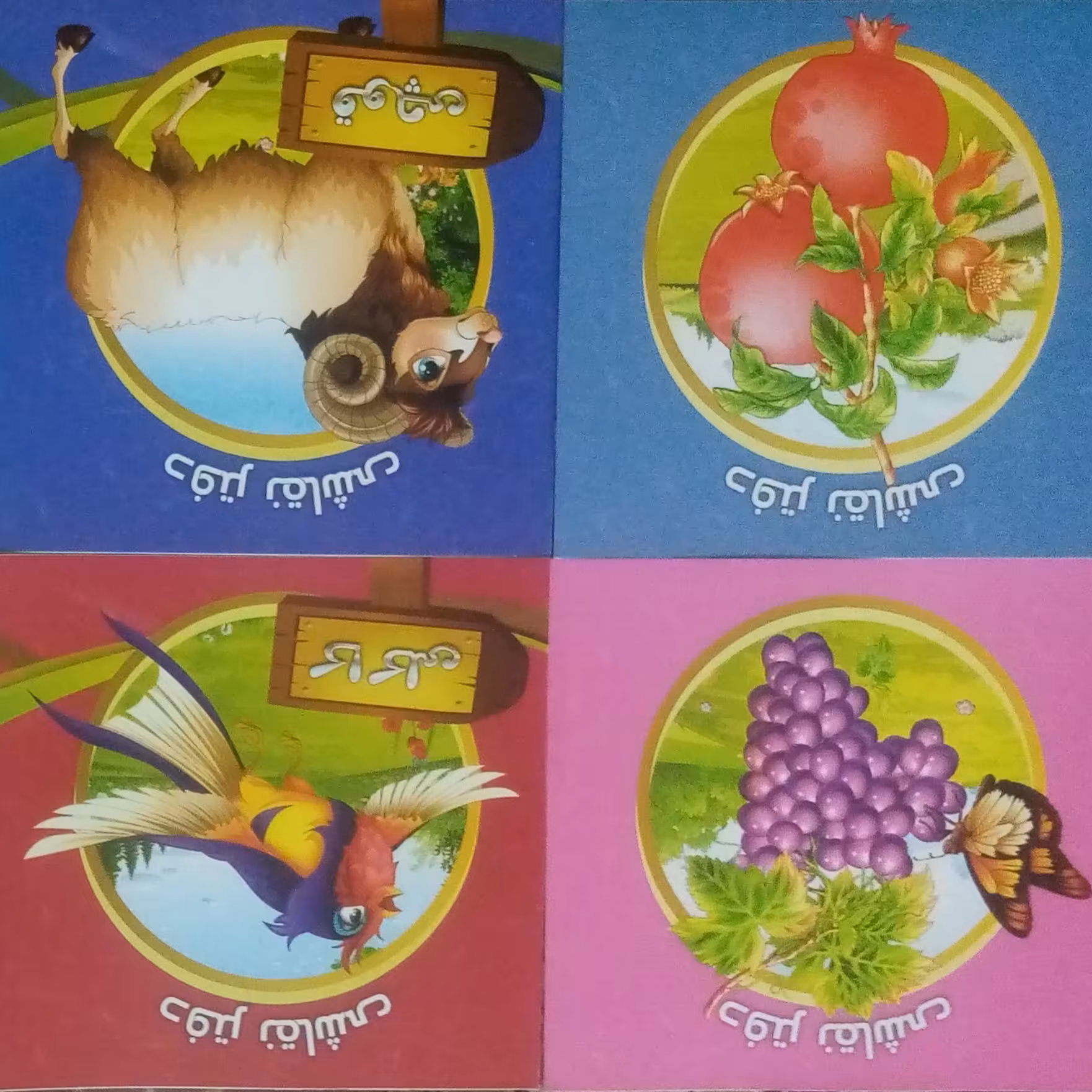 دفتر نقاشی(پک50عددی)در چند طرح مختلف