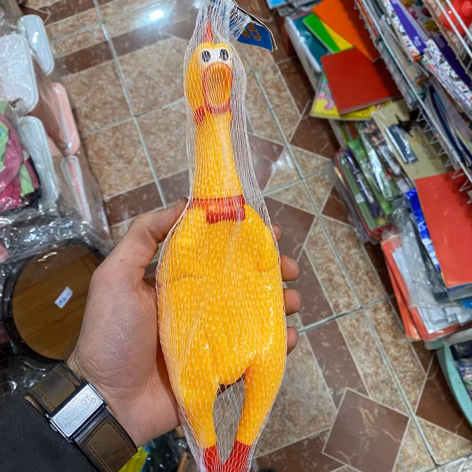 مرغ نالان