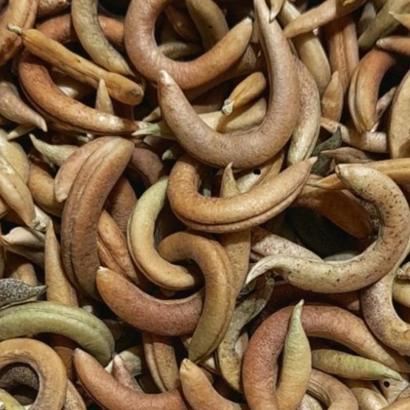 ناخنک ریز یک کیلویی عطاری دستانی