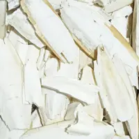 کف دریا عروس هلندی، فنج و قناری، ملنگو و همه پرندگان -50گرمی (کمبود کلسیم  بی نظیر و اصلاح منقار پرندڭان)
