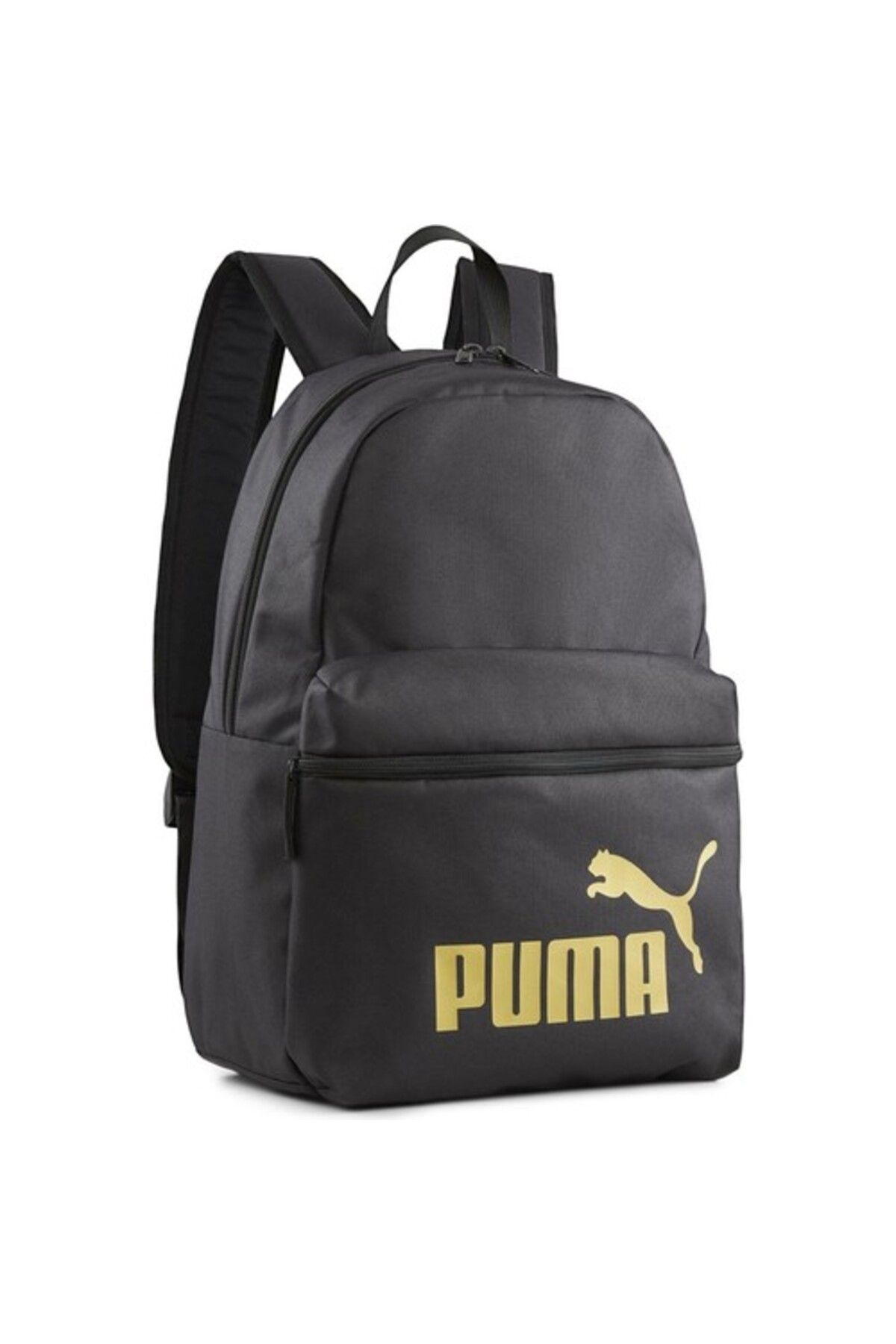 کیف ورزشی مشکی مردانه و زنانه سیاه کوله پشتی فاز یونیسکس 07994303 Puma