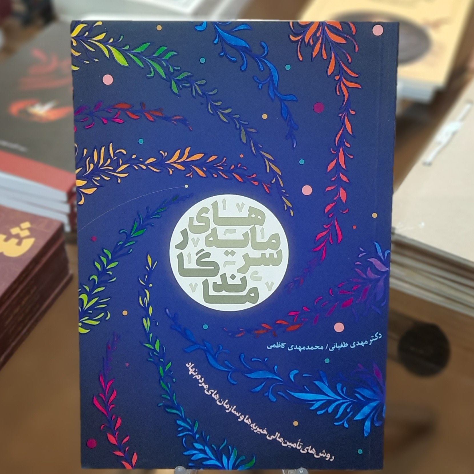 کتاب سرمایه های ماندگار اثر مهدی طغیانی و محمد هادی کاظمی