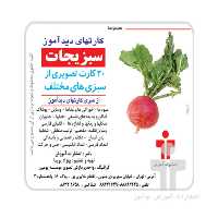 کارت دیدآموز سبزیجات

