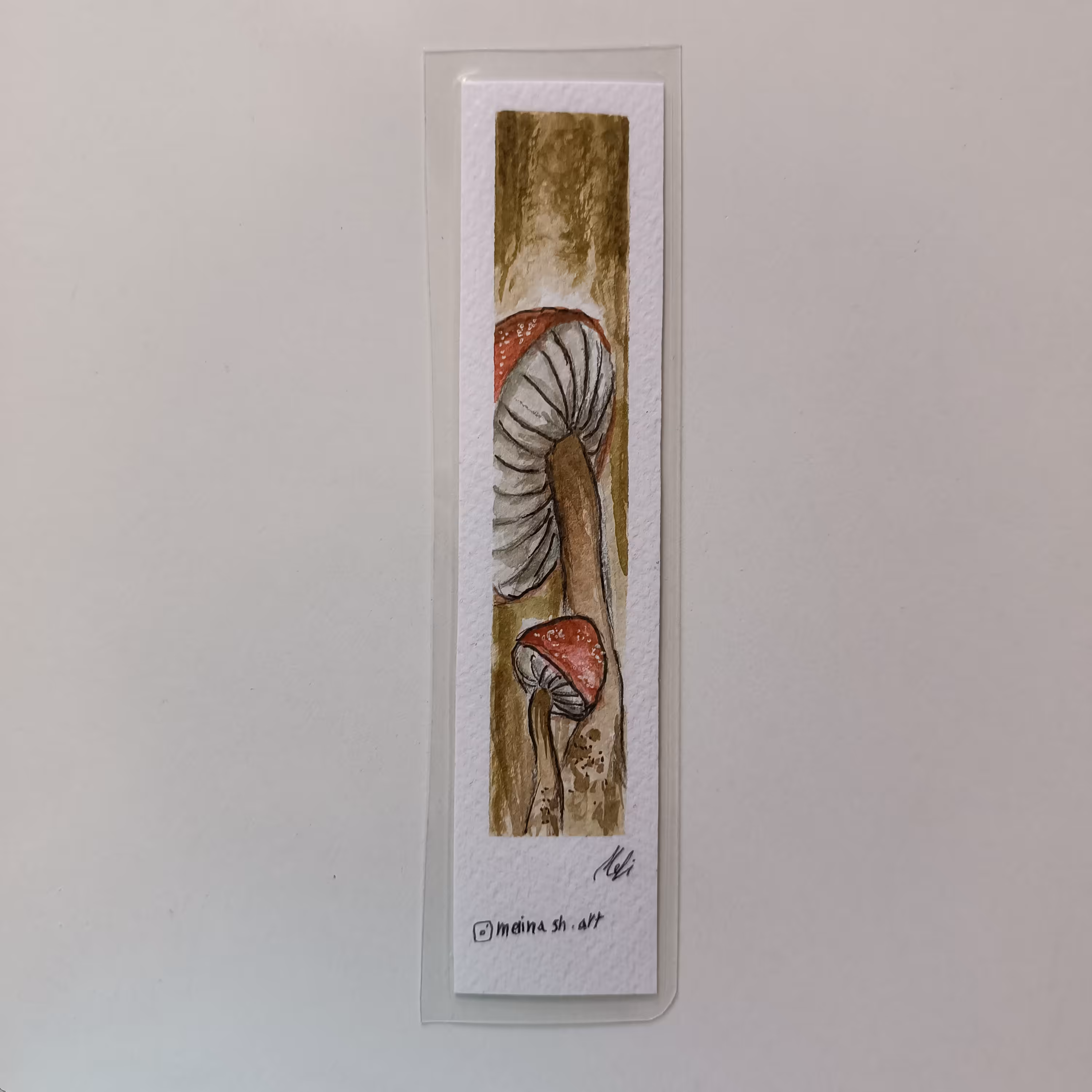 بوک مارک قارچی1