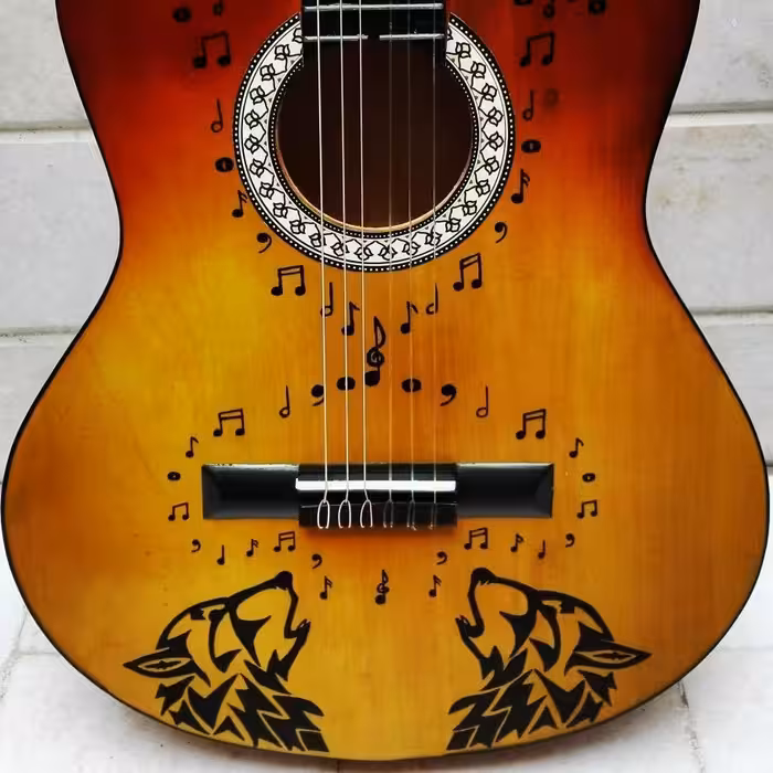 گیتار طرح دار برند فرد همراه کاور و مضراب ارسال رایگان اکشن عالی  گیتار طرح دلخواه کشیده میشه 