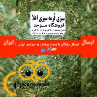 سبزی قورمه سبزی سبزی تیار  1000گرمی